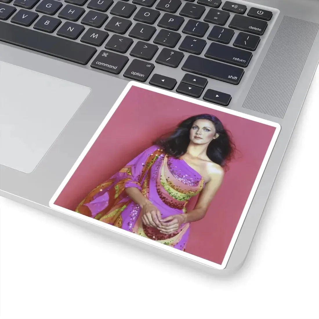 Lynda Carter #225 (Vintage Female Icon) STICKER Vinyl Kiss-Cut Decal - The Sticker Space