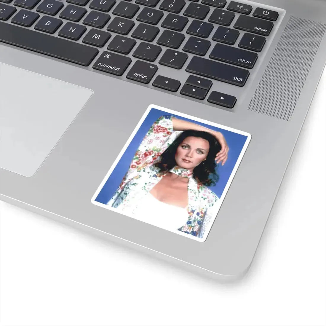 Lynda Carter #234 (Vintage Female Icon) STICKER Vinyl Kiss-Cut Decal - The Sticker Space