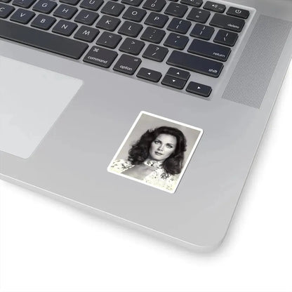 Lynda Carter #235 (Vintage Female Icon) STICKER Vinyl Kiss-Cut Decal - The Sticker Space