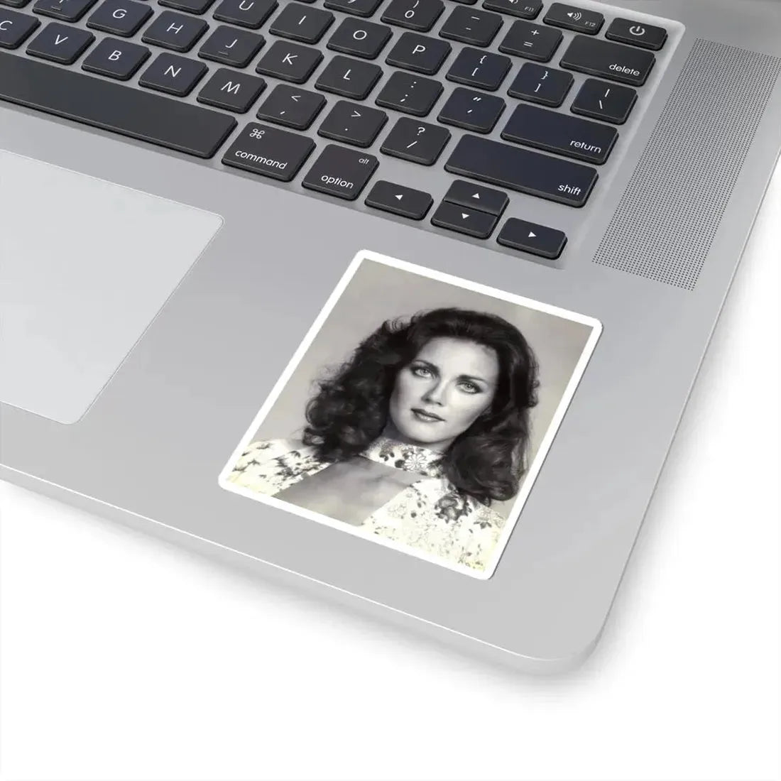 Lynda Carter #235 (Vintage Female Icon) STICKER Vinyl Kiss-Cut Decal - The Sticker Space