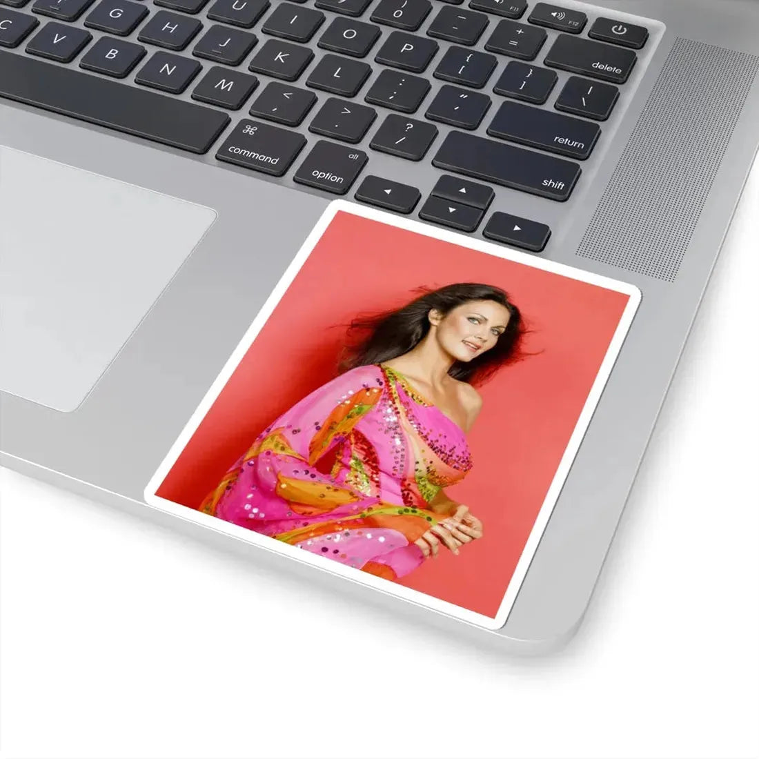 Lynda Carter #237 (Vintage Female Icon) STICKER Vinyl Kiss-Cut Decal - The Sticker Space