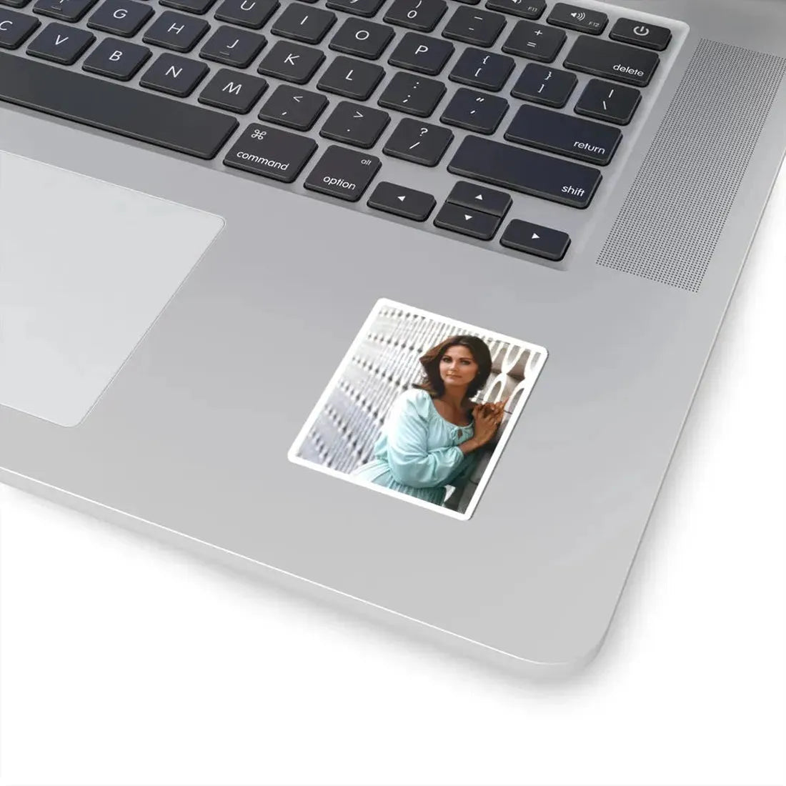 Lynda Carter #238 (Vintage Female Icon) STICKER Vinyl Kiss-Cut Decal - The Sticker Space