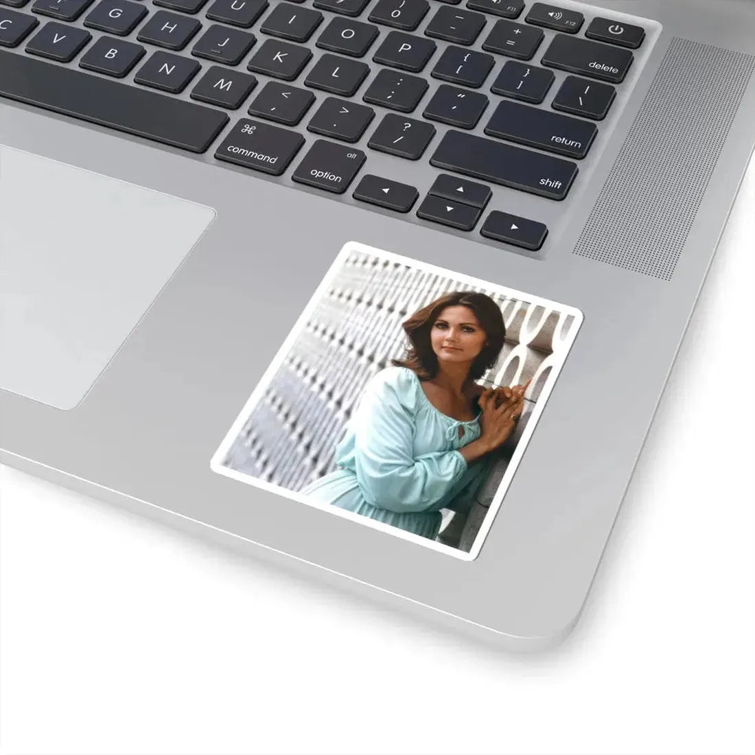 Lynda Carter #238 (Vintage Female Icon) STICKER Vinyl Kiss-Cut Decal - The Sticker Space