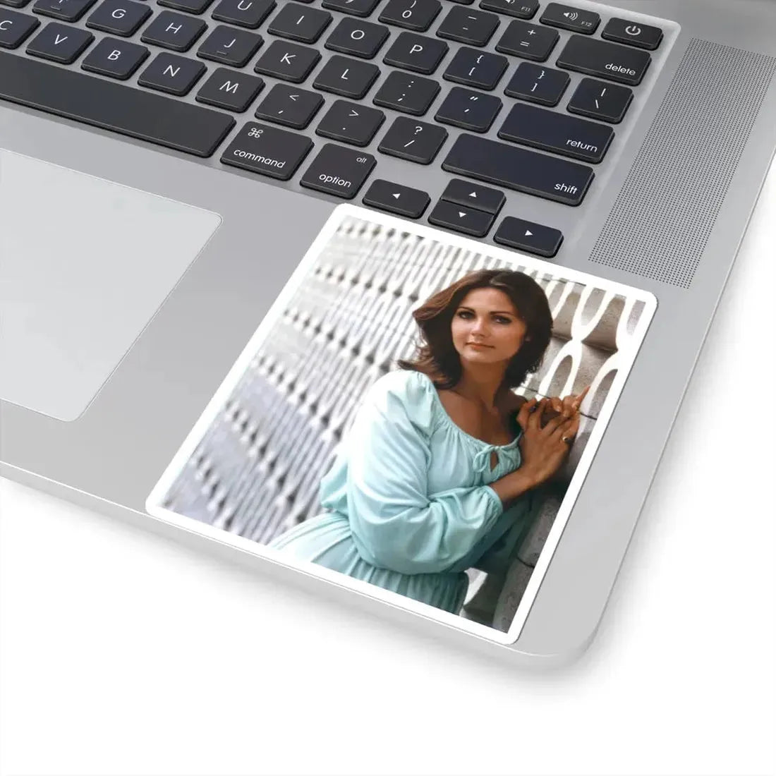 Lynda Carter #238 (Vintage Female Icon) STICKER Vinyl Kiss-Cut Decal - The Sticker Space