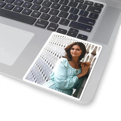 Lynda Carter #238 (Vintage Female Icon) STICKER Vinyl Kiss-Cut Decal - The Sticker Space
