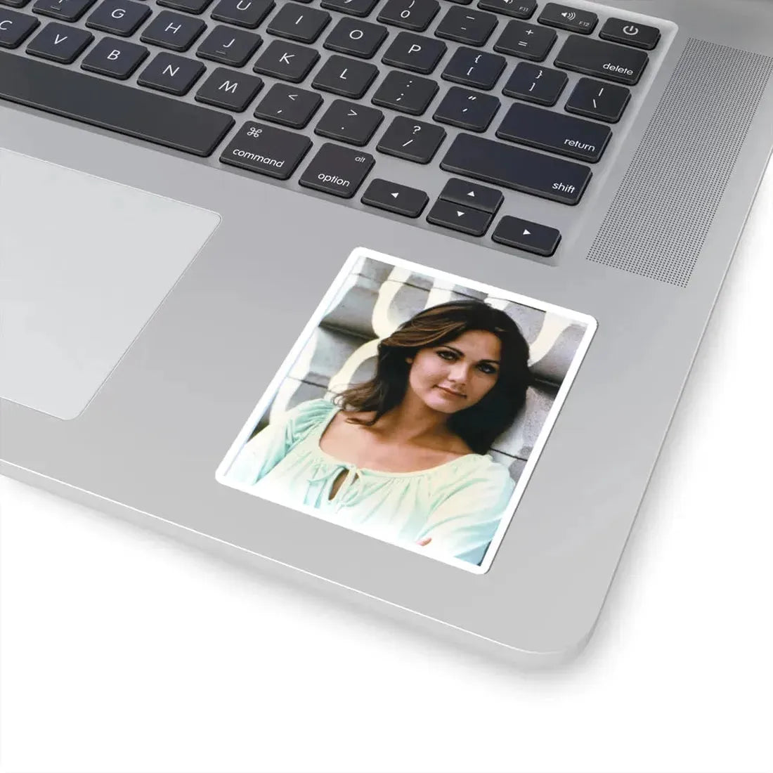 Lynda Carter #239 (Vintage Female Icon) STICKER Vinyl Kiss-Cut Decal - The Sticker Space