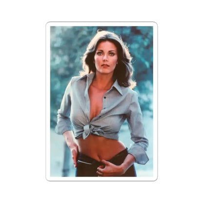 Lynda Carter #244 (Vintage Female Icon) STICKER Vinyl Kiss-Cut Decal 2 Inch White - The Sticker Space