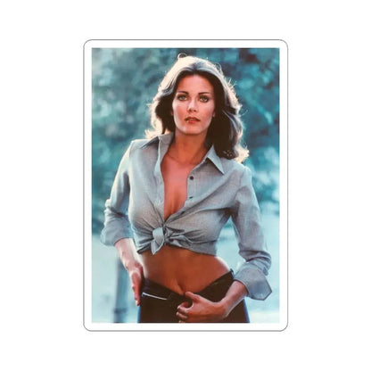 Lynda Carter #244 (Vintage Female Icon) STICKER Vinyl Kiss-Cut Decal 6 Inch White - The Sticker Space