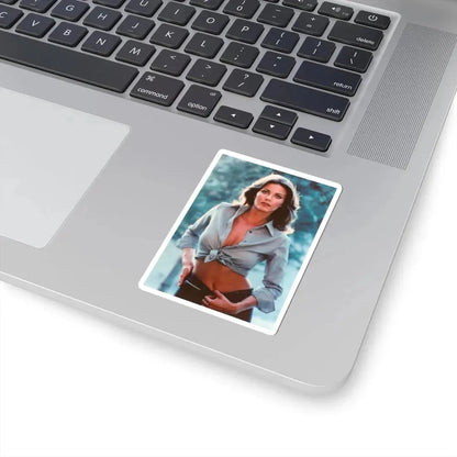Lynda Carter #244 (Vintage Female Icon) STICKER Vinyl Kiss-Cut Decal - The Sticker Space