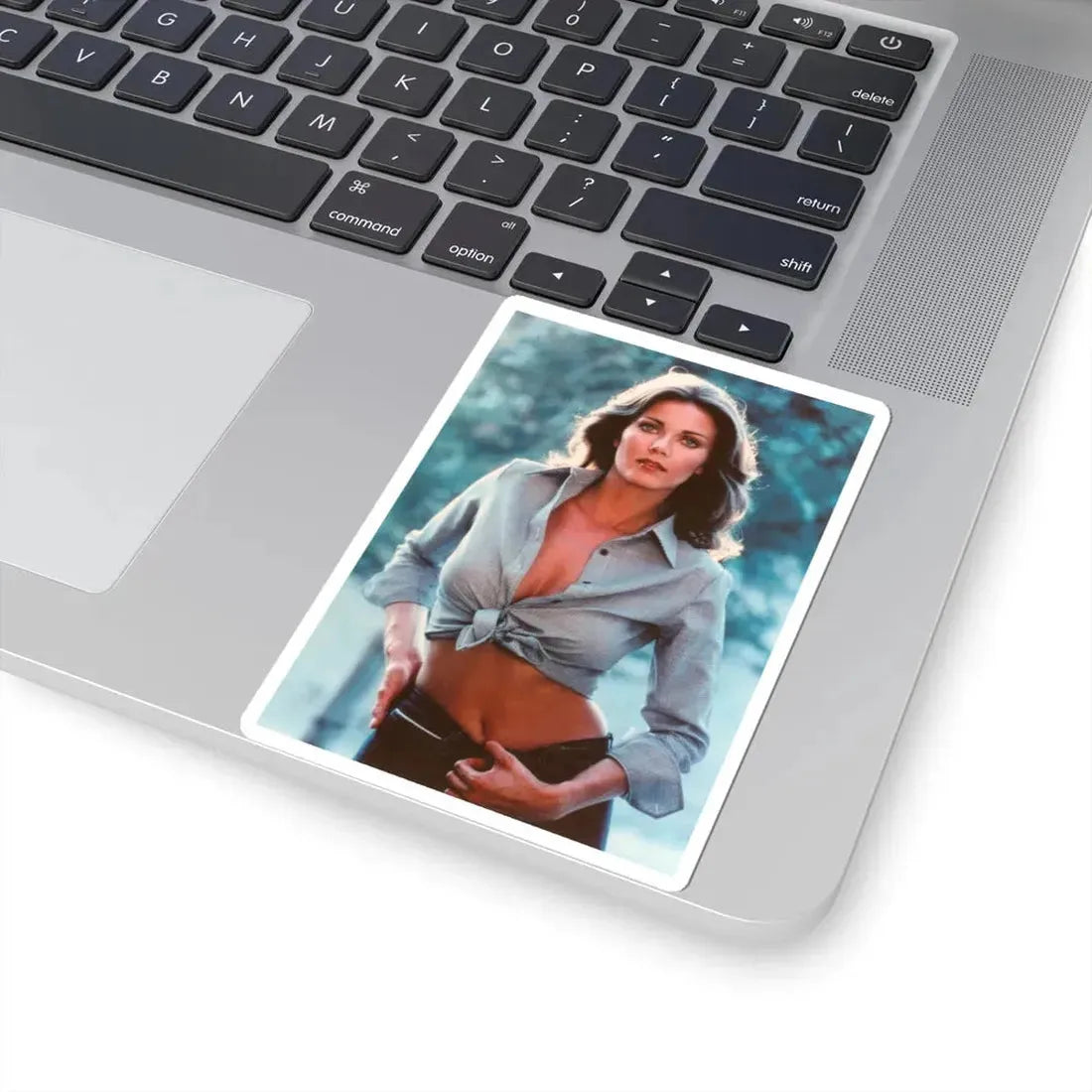 Lynda Carter #244 (Vintage Female Icon) STICKER Vinyl Kiss-Cut Decal - The Sticker Space