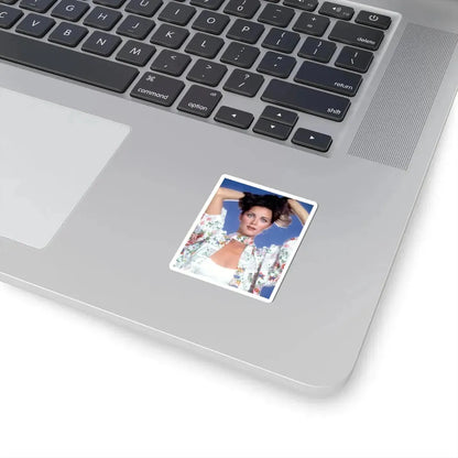 Lynda Carter #251 (Vintage Female Icon) STICKER Vinyl Kiss-Cut Decal - The Sticker Space