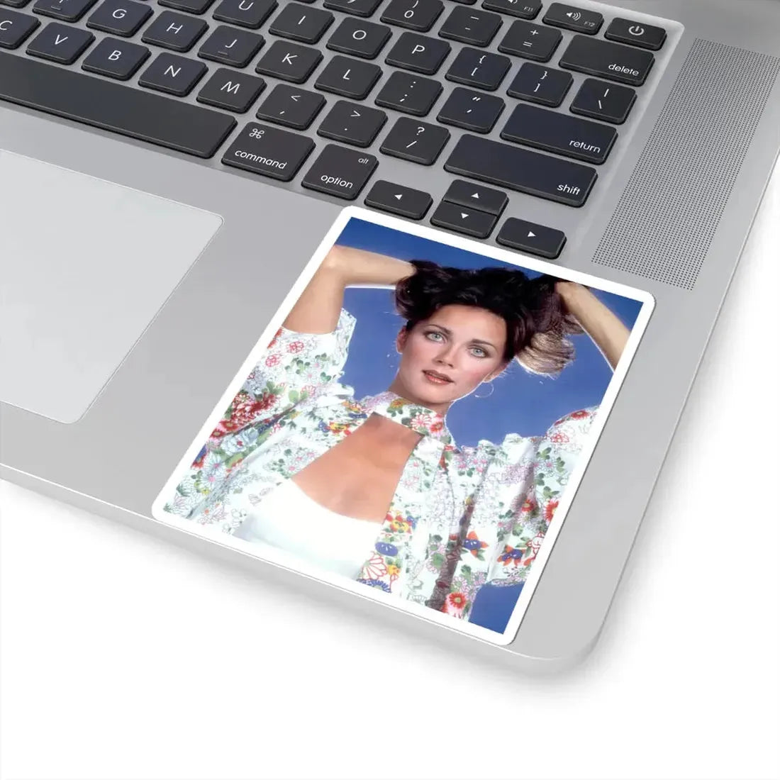 Lynda Carter #251 (Vintage Female Icon) STICKER Vinyl Kiss-Cut Decal - The Sticker Space