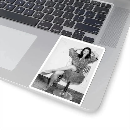 Lynda Carter #252 (Vintage Female Icon) STICKER Vinyl Kiss-Cut Decal - The Sticker Space