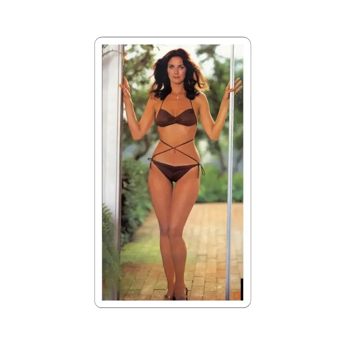 Lynda Carter #259 (Vintage Female Icon) STICKER Vinyl Kiss-Cut Decal 3 Inch White - The Sticker Space