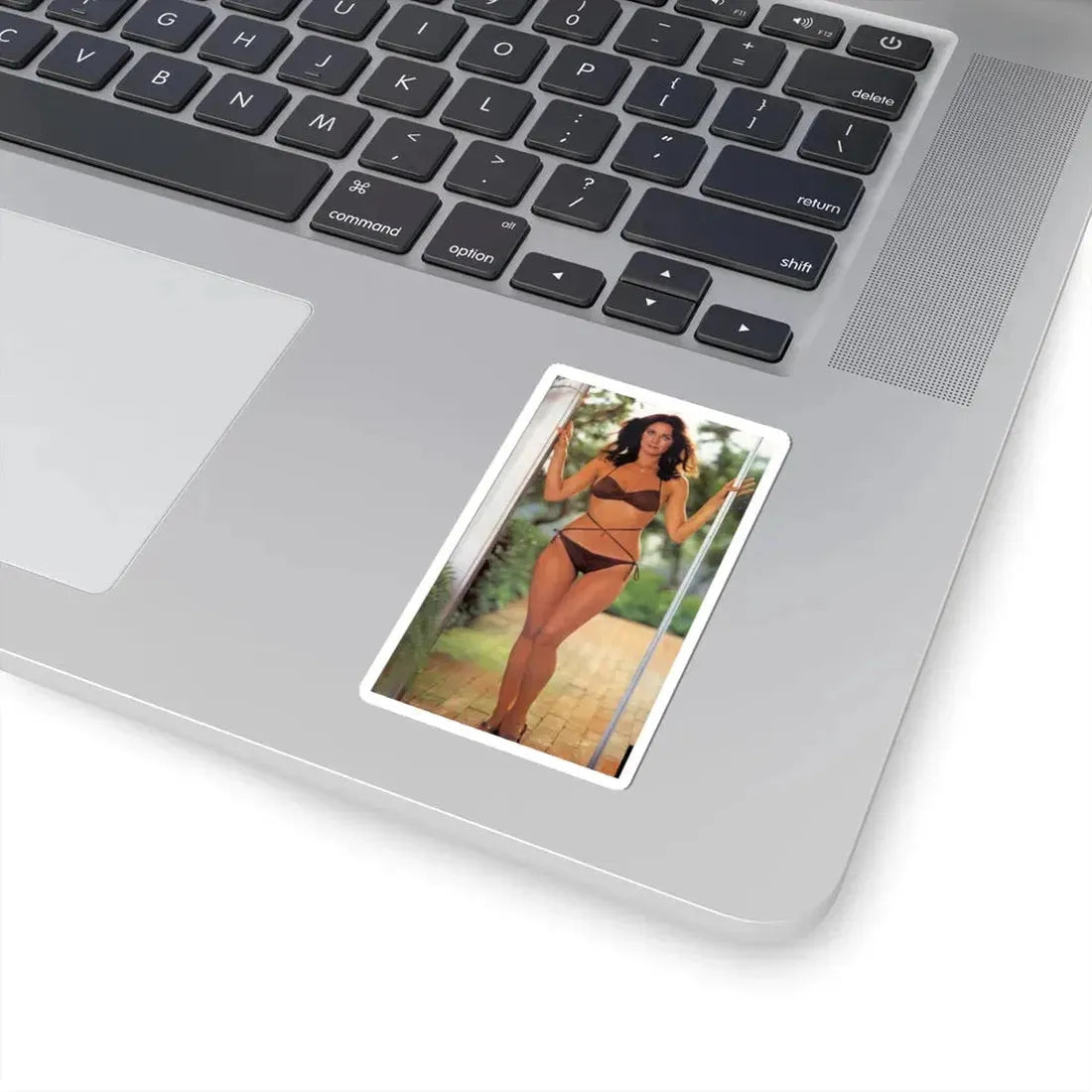 Lynda Carter #259 (Vintage Female Icon) STICKER Vinyl Kiss-Cut Decal - The Sticker Space