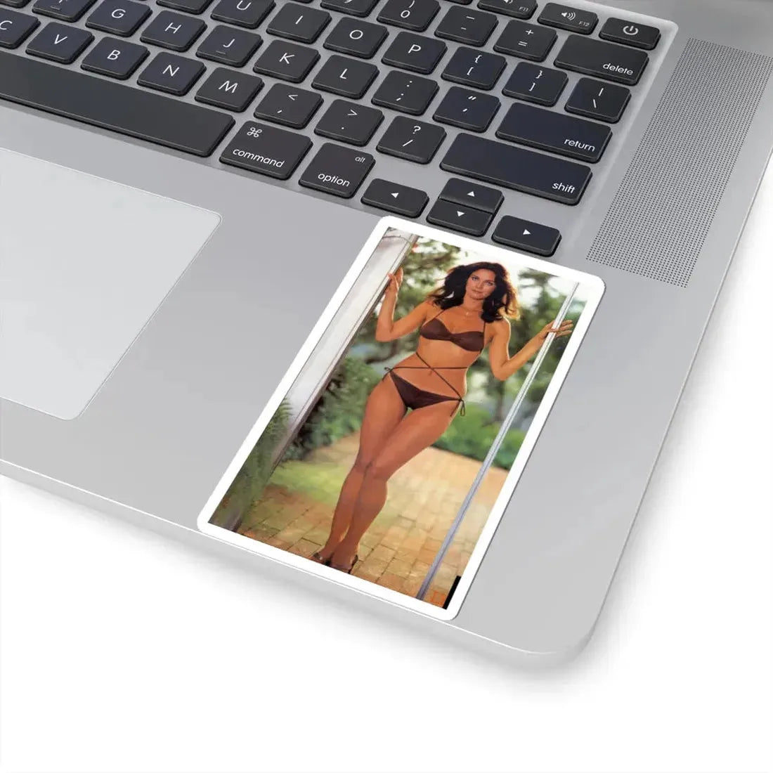 Lynda Carter #259 (Vintage Female Icon) STICKER Vinyl Kiss-Cut Decal - The Sticker Space