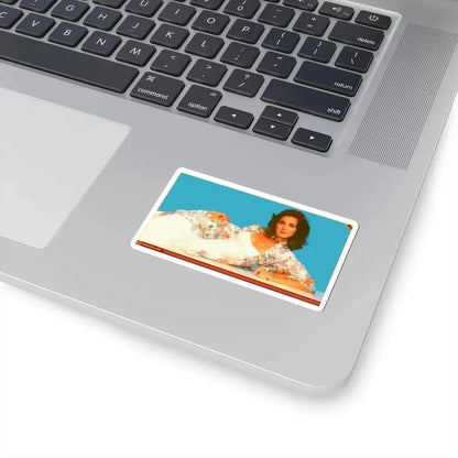 Lynda Carter #26 (Vintage Female Icon) STICKER Vinyl Kiss-Cut Decal - The Sticker Space