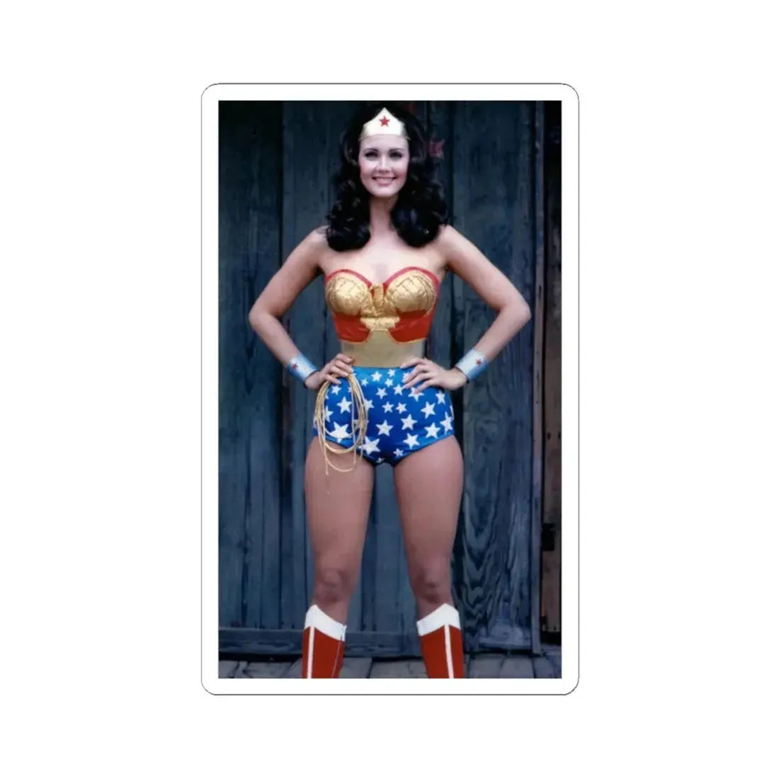 Lynda Carter #264 (Vintage Female Icon) STICKER Vinyl Kiss-Cut Decal 2 Inch White - The Sticker Space