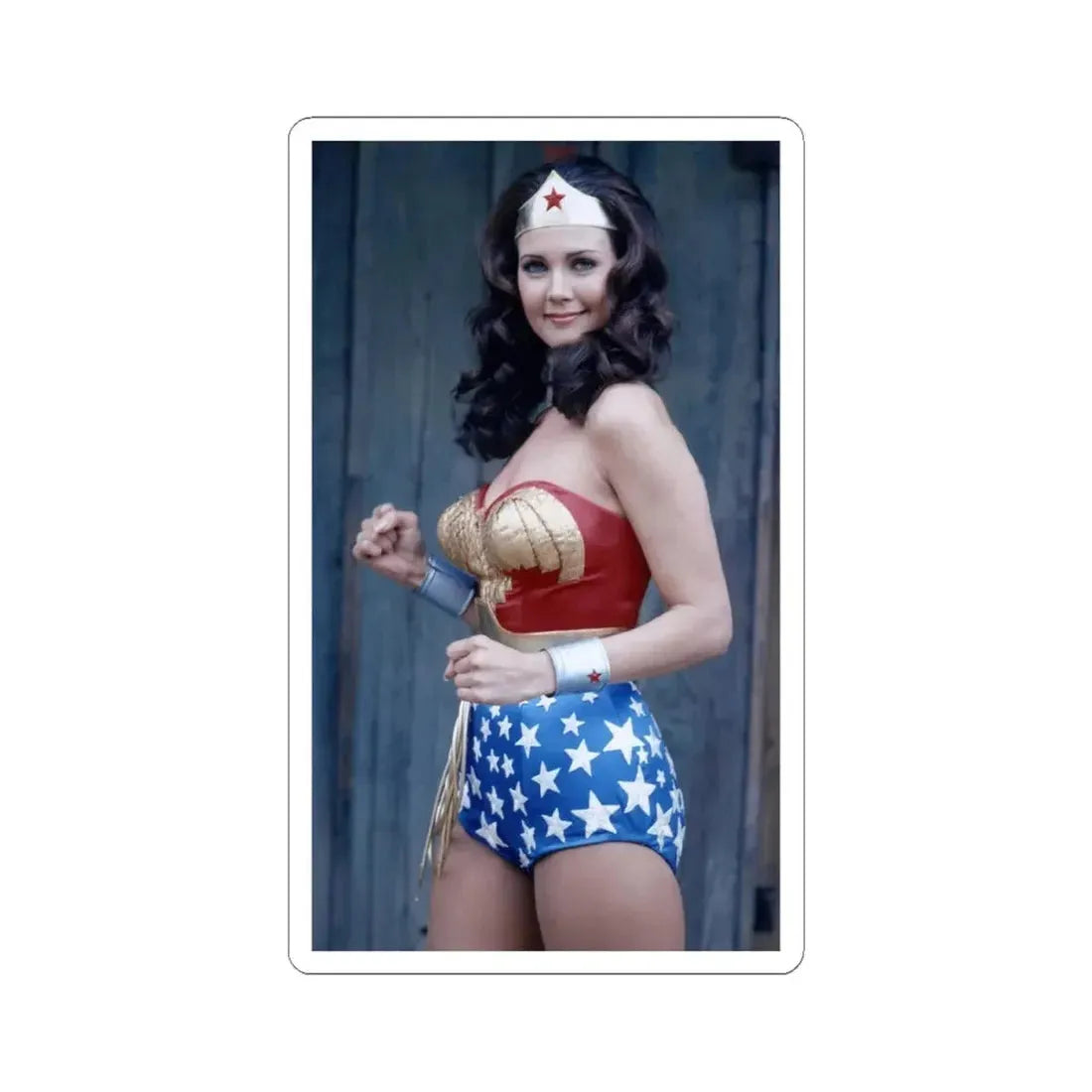 Lynda Carter #265 (Vintage Female Icon) STICKER Vinyl Kiss-Cut Decal 4 Inch White - The Sticker Space