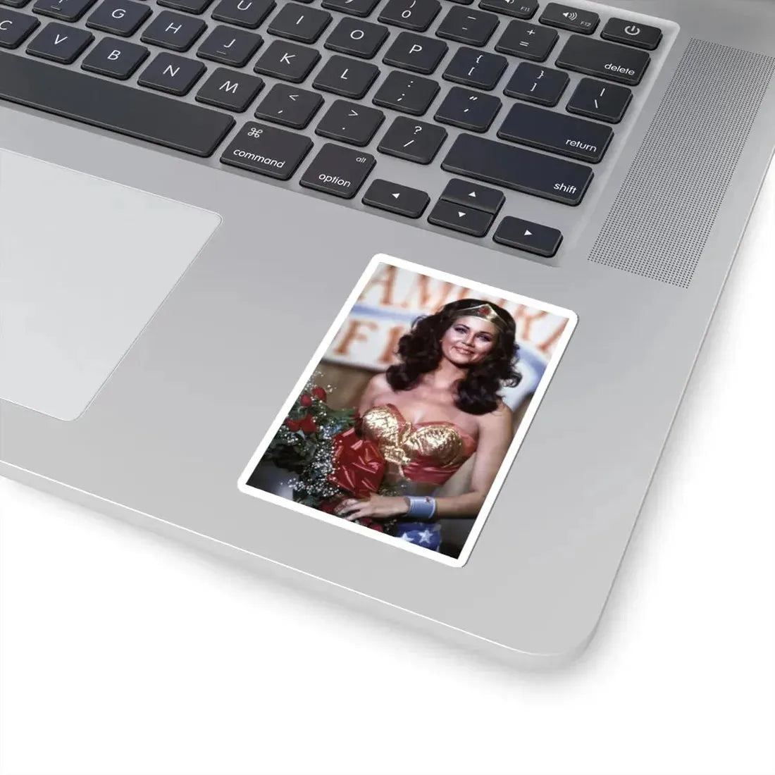 Lynda Carter #269 (Vintage Female Icon) STICKER Vinyl Kiss-Cut Decal - The Sticker Space