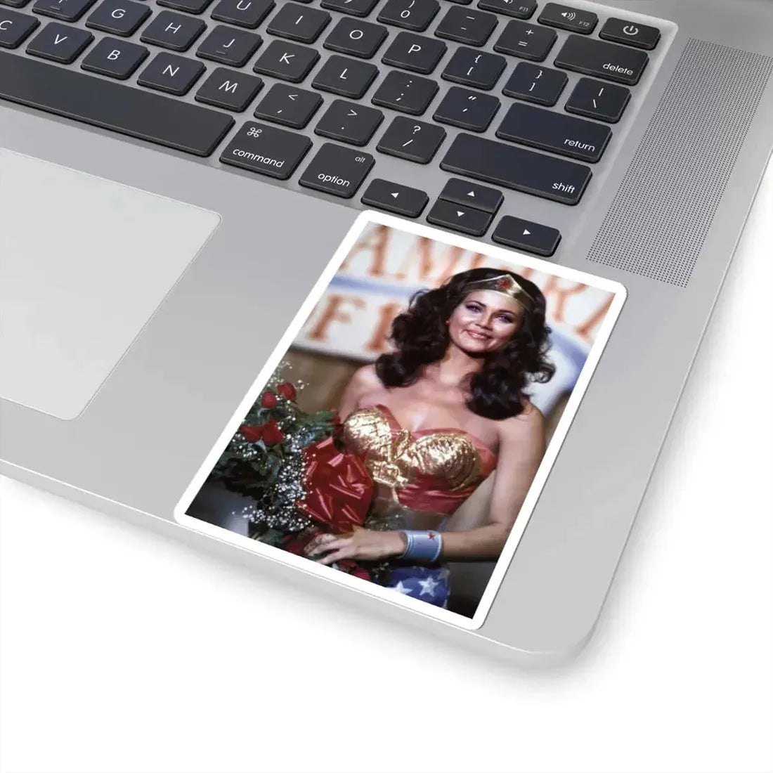 Lynda Carter #269 (Vintage Female Icon) STICKER Vinyl Kiss-Cut Decal - The Sticker Space
