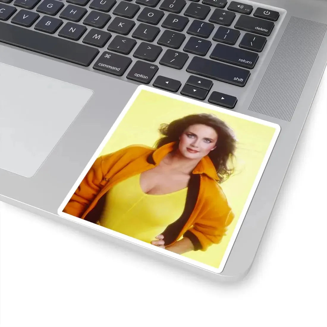 Lynda Carter #270 (Vintage Female Icon) STICKER Vinyl Kiss-Cut Decal - The Sticker Space