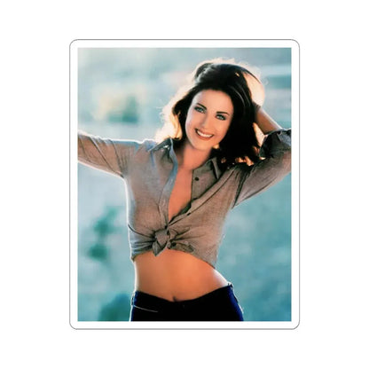 Lynda Carter #274 (Vintage Female Icon) STICKER Vinyl Kiss-Cut Decal 6 Inch White - The Sticker Space