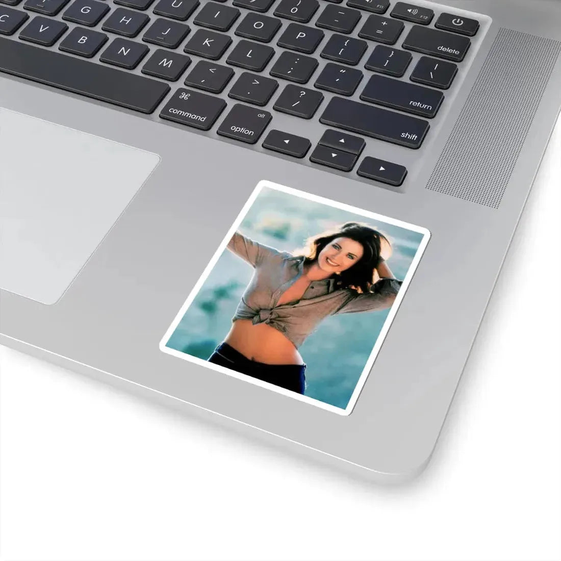 Lynda Carter #274 (Vintage Female Icon) STICKER Vinyl Kiss-Cut Decal - The Sticker Space