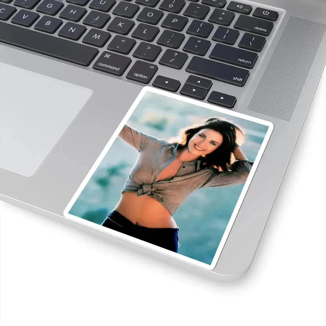 Lynda Carter #274 (Vintage Female Icon) STICKER Vinyl Kiss-Cut Decal - The Sticker Space