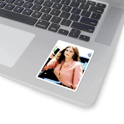 Lynda Carter #275 (Vintage Female Icon) STICKER Vinyl Kiss-Cut Decal - The Sticker Space