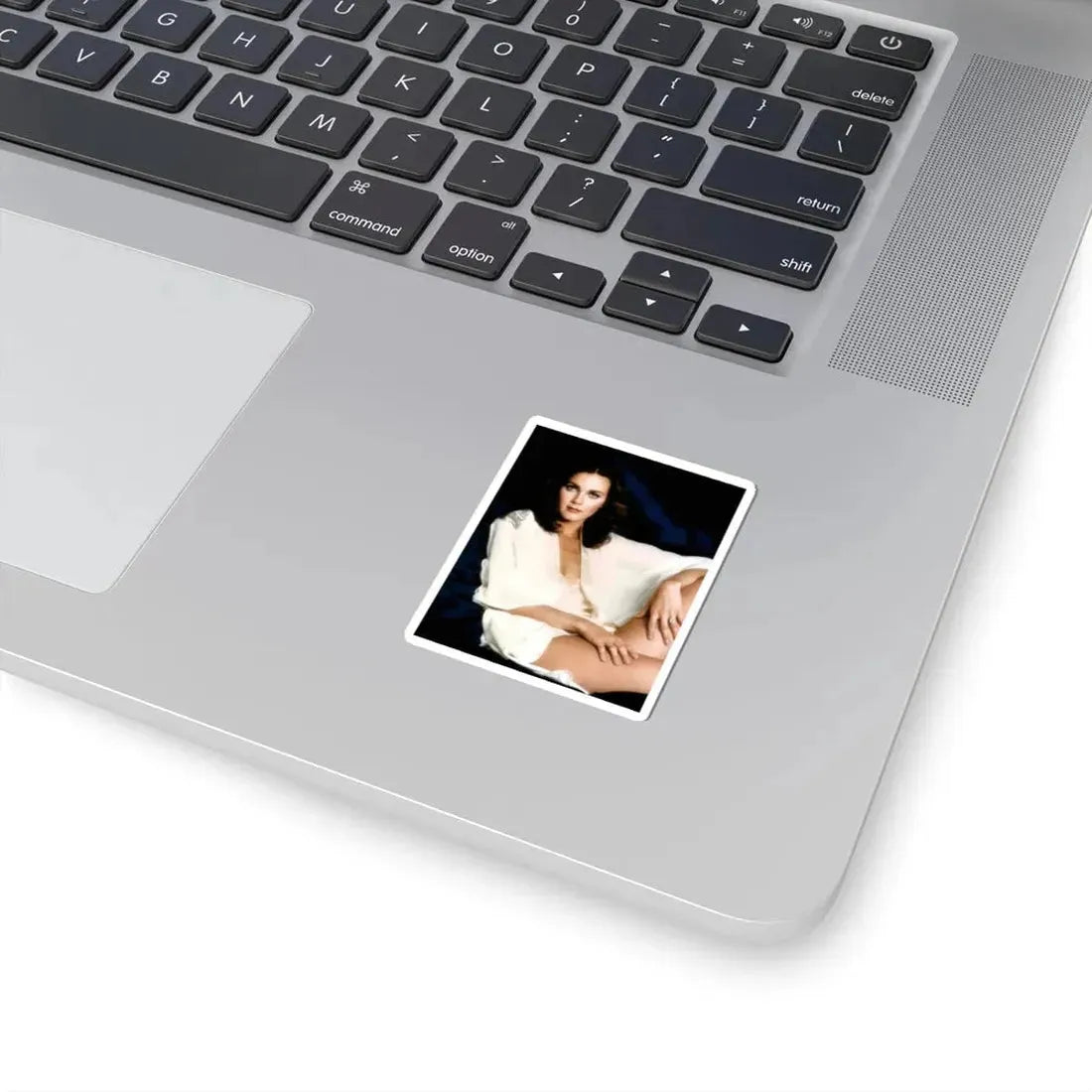 Lynda Carter #280 (Vintage Female Icon) STICKER Vinyl Kiss-Cut Decal - The Sticker Space