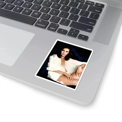 Lynda Carter #280 (Vintage Female Icon) STICKER Vinyl Kiss-Cut Decal - The Sticker Space