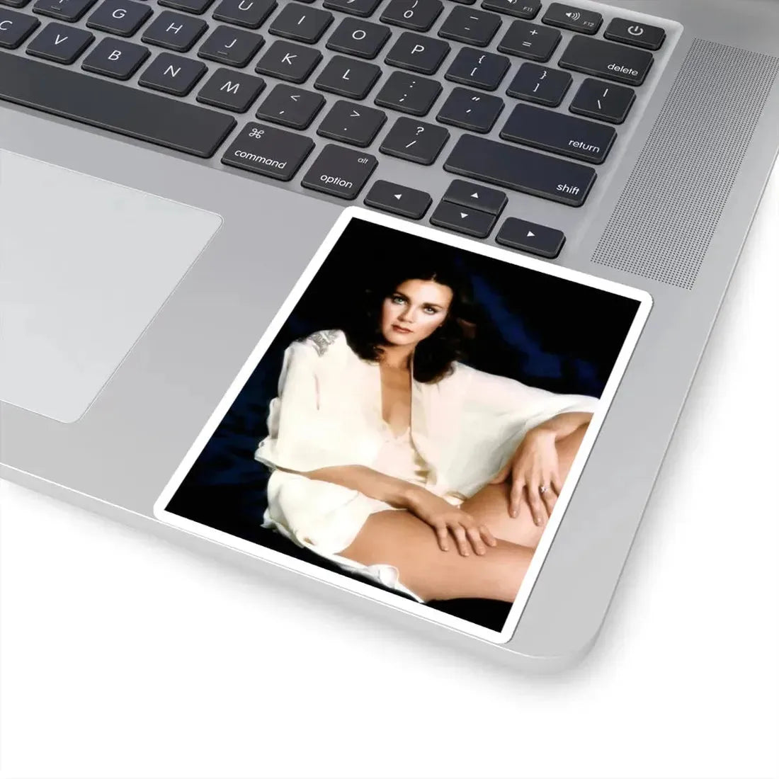 Lynda Carter #280 (Vintage Female Icon) STICKER Vinyl Kiss-Cut Decal - The Sticker Space