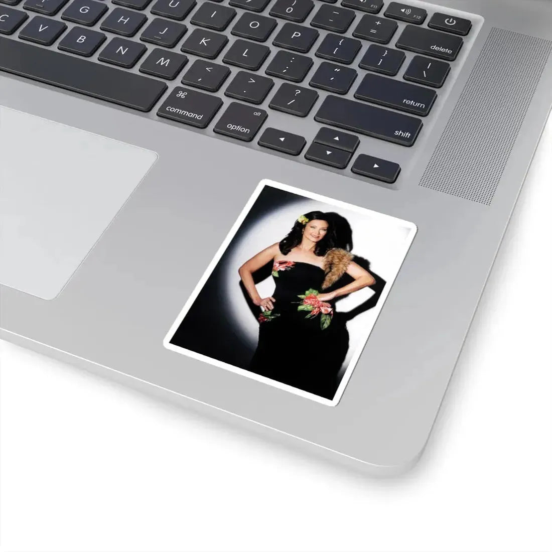 Lynda Carter #281 (Vintage Female Icon) STICKER Vinyl Kiss-Cut Decal - The Sticker Space