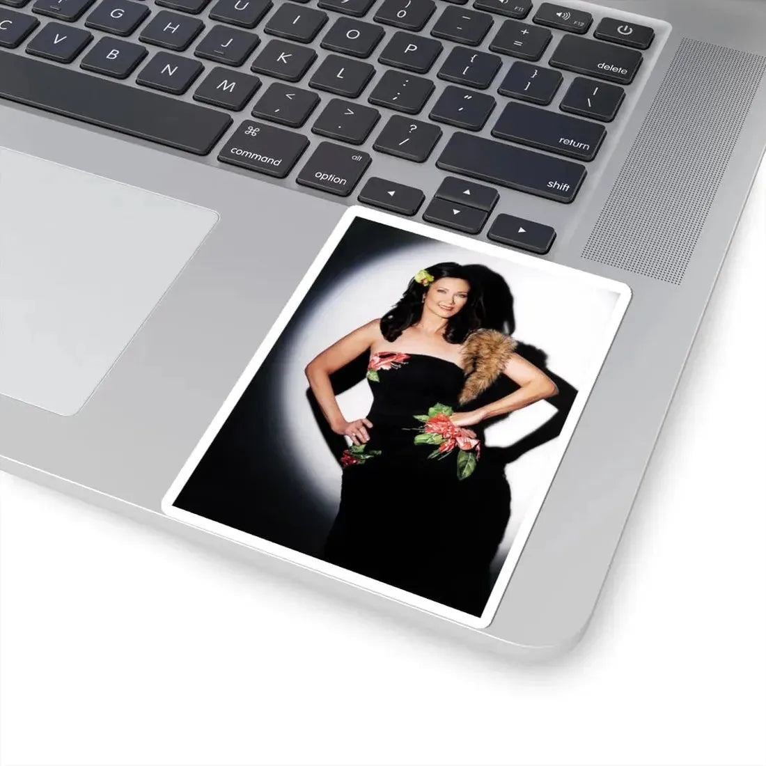 Lynda Carter #281 (Vintage Female Icon) STICKER Vinyl Kiss-Cut Decal - The Sticker Space