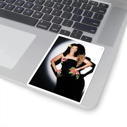 Lynda Carter #281 (Vintage Female Icon) STICKER Vinyl Kiss-Cut Decal - The Sticker Space