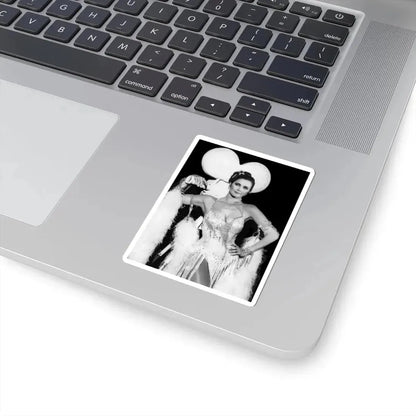 Lynda Carter #285 (Vintage Female Icon) STICKER Vinyl Kiss-Cut Decal - The Sticker Space