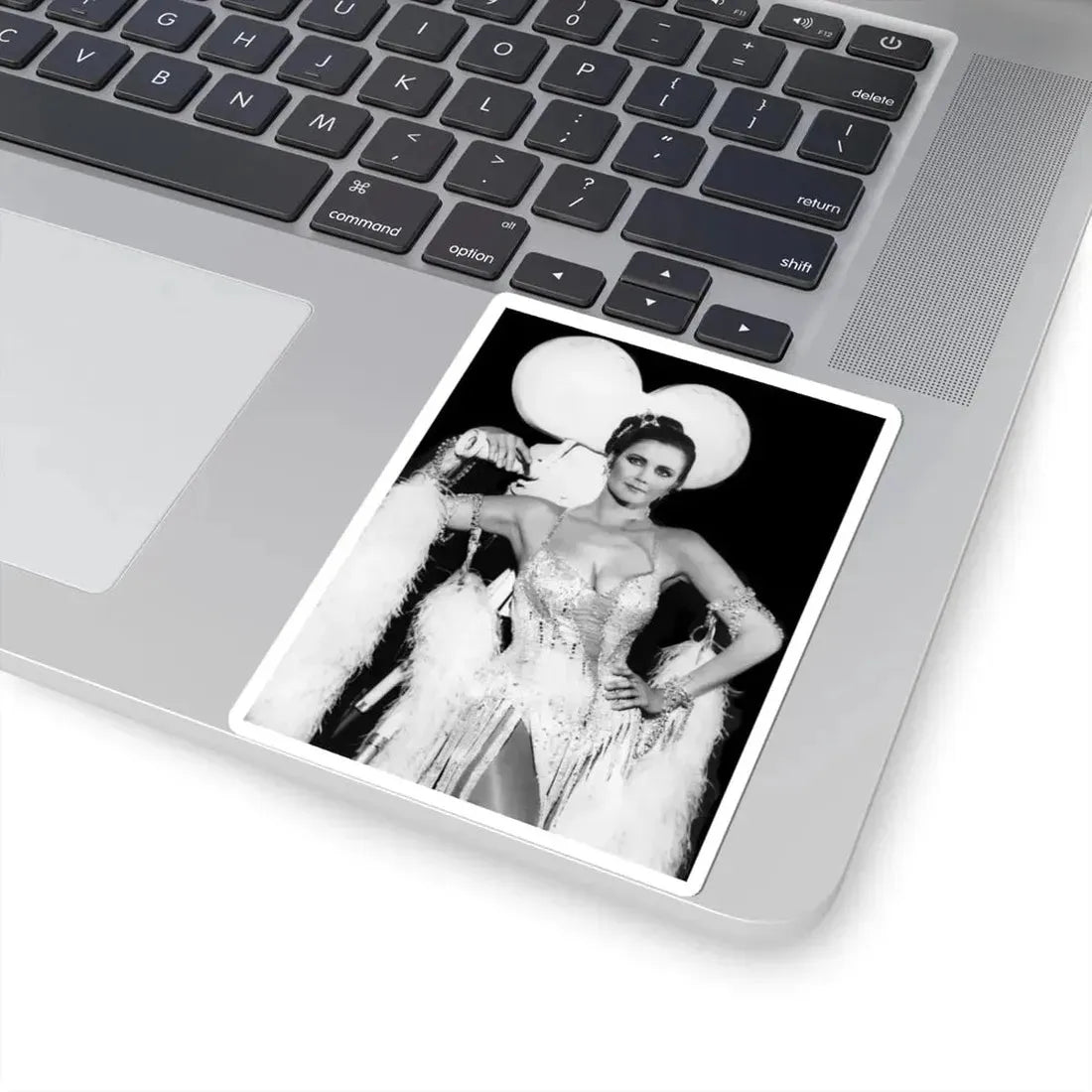 Lynda Carter #285 (Vintage Female Icon) STICKER Vinyl Kiss-Cut Decal - The Sticker Space