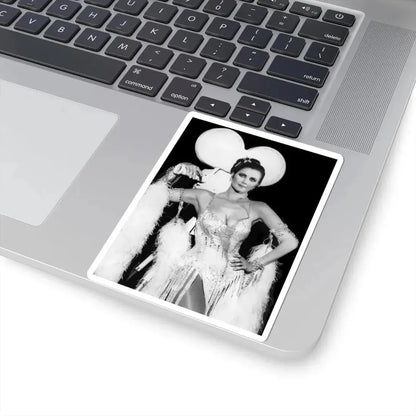 Lynda Carter #285 (Vintage Female Icon) STICKER Vinyl Kiss-Cut Decal - The Sticker Space