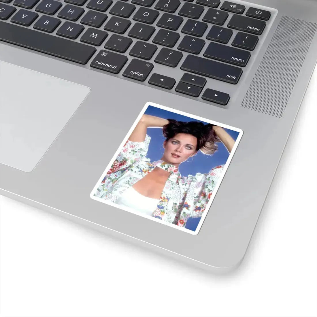 Lynda Carter #70 (Vintage Female Icon) STICKER Vinyl Kiss-Cut Decal - The Sticker Space