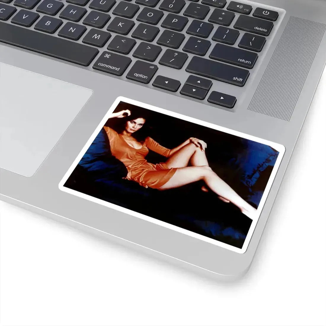 Lynda Carter #76 (Vintage Female Icon) STICKER Vinyl Kiss-Cut Decal - The Sticker Space