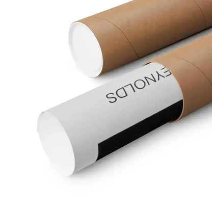 M3 THE GEMINI STRAIN 1979 - Paper Movie Poster - The Sticker Space