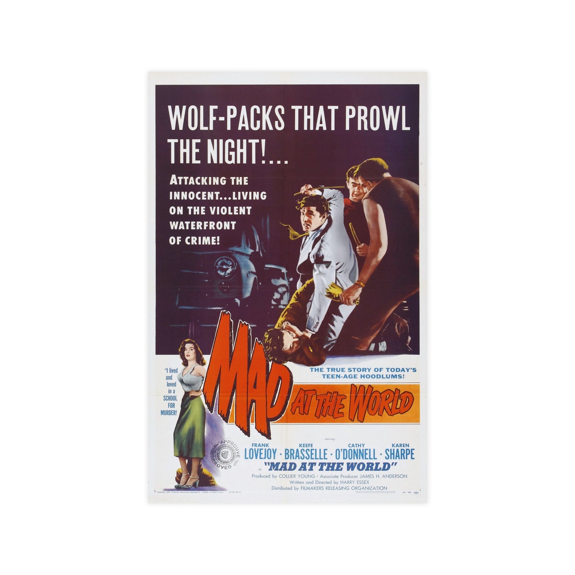 MAD AT THE WORLD 1955 - Paper Movie Poster-11″ x 17″ (Vertical)-The Sticker Space