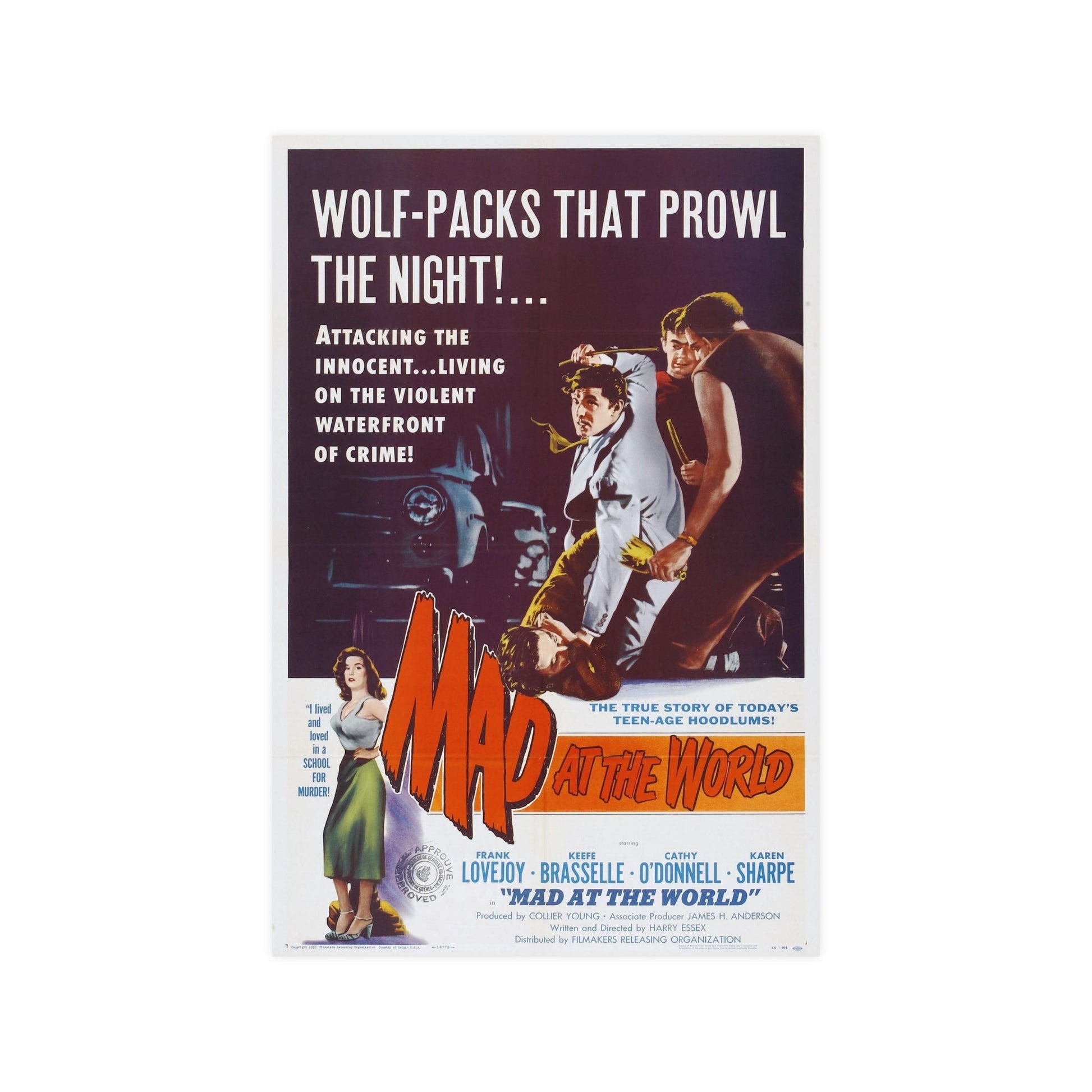 MAD AT THE WORLD 1955 - Paper Movie Poster-12″ x 18″ (Vertical)-The Sticker Space