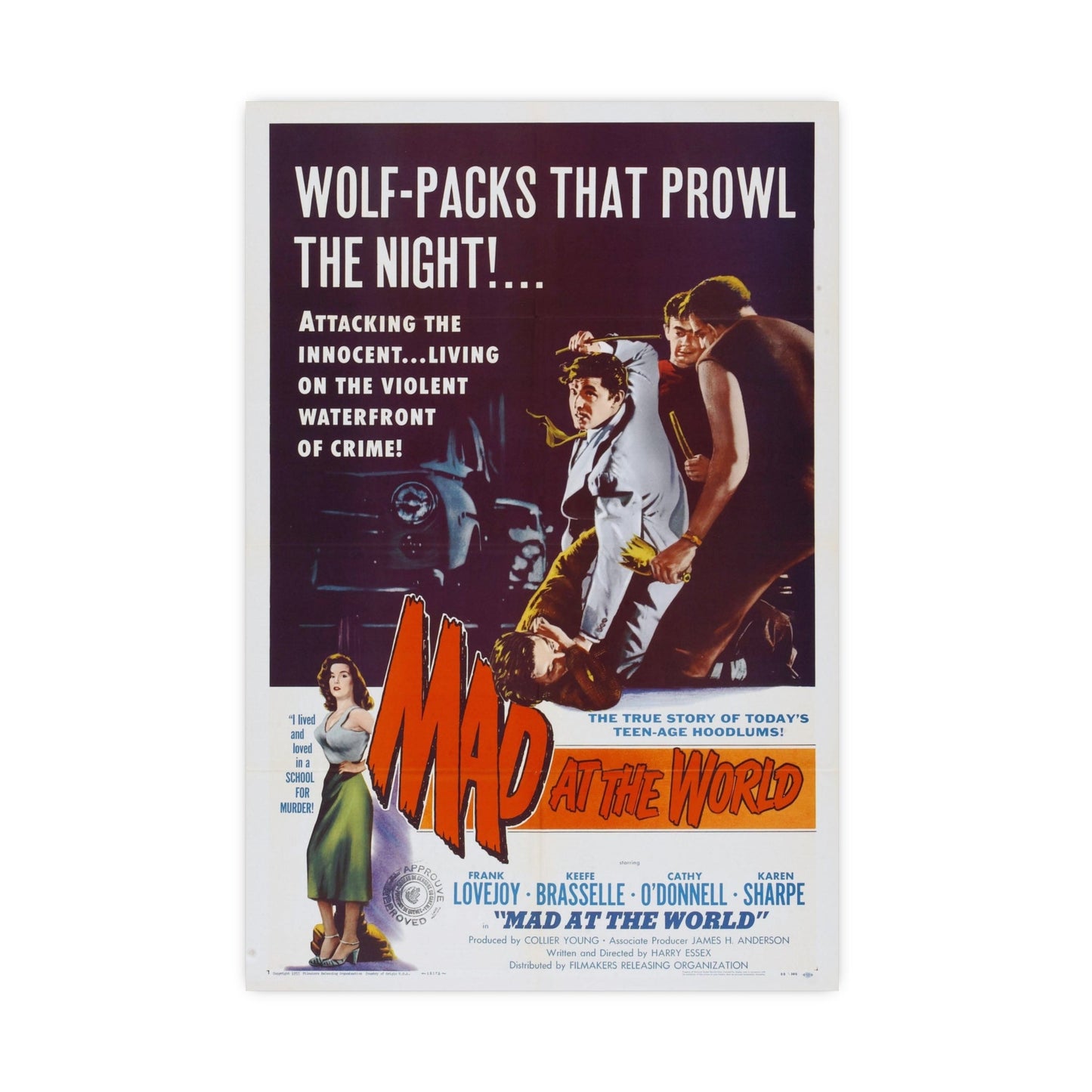 MAD AT THE WORLD 1955 - Paper Movie Poster-16″ x 24″ (Vertical)-The Sticker Space