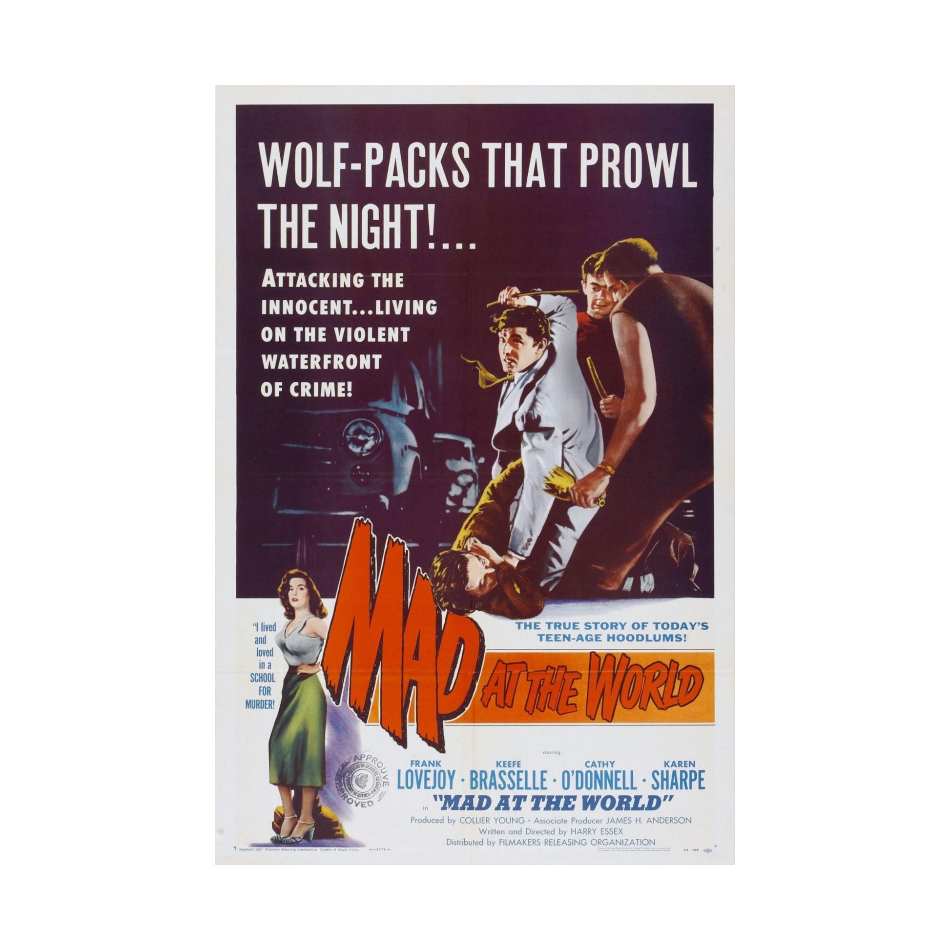 MAD AT THE WORLD 1955 - Paper Movie Poster-The Sticker Space