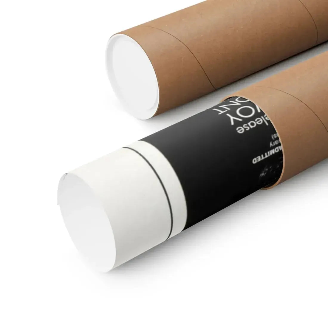 MADAM KITTY (SALON KITTY) 1976 - Paper Movie Poster - The Sticker Space