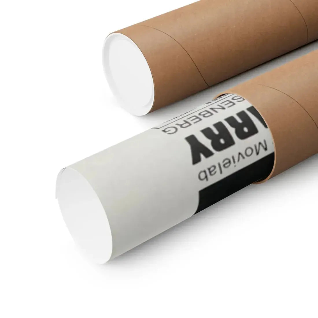 MADHOUSE 1974 - Paper Movie Poster - The Sticker Space