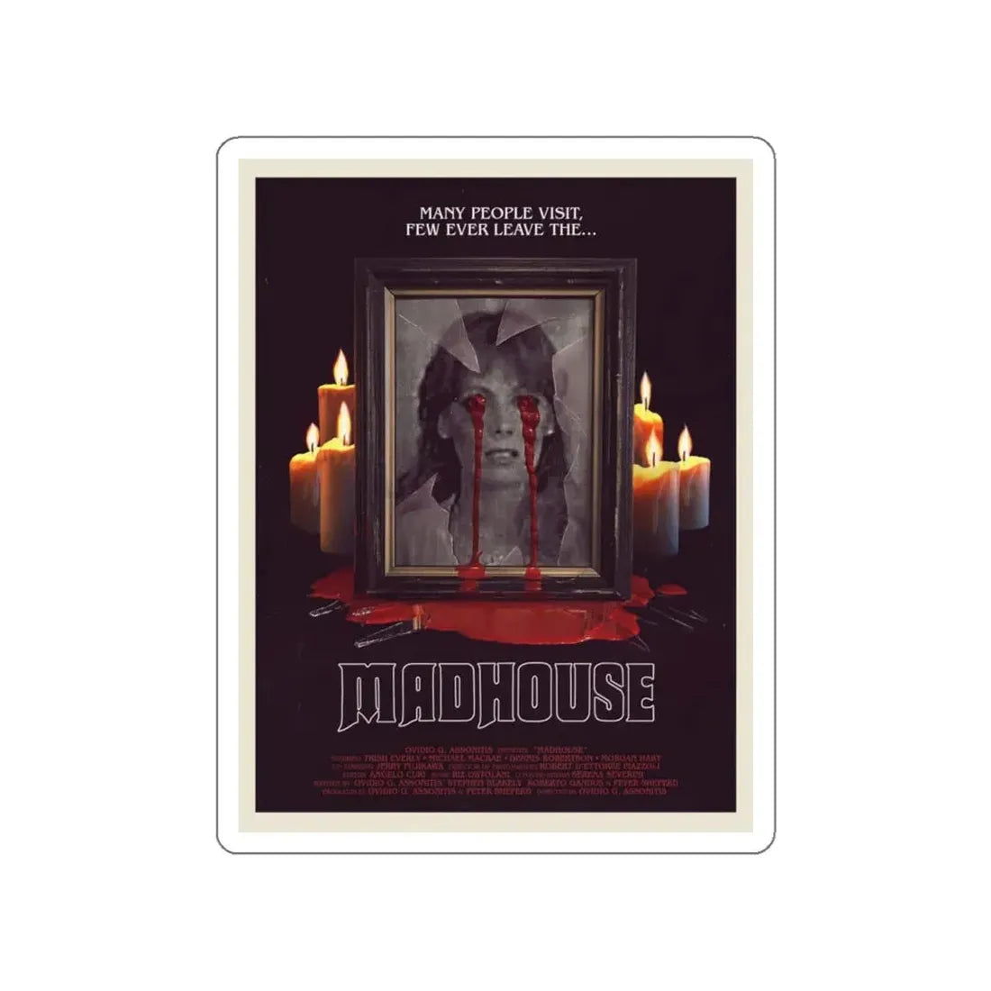MADHOUSE (2) 1974 Movie Poster STICKER Vinyl Die-Cut Decal 6 Inch - The Sticker Space