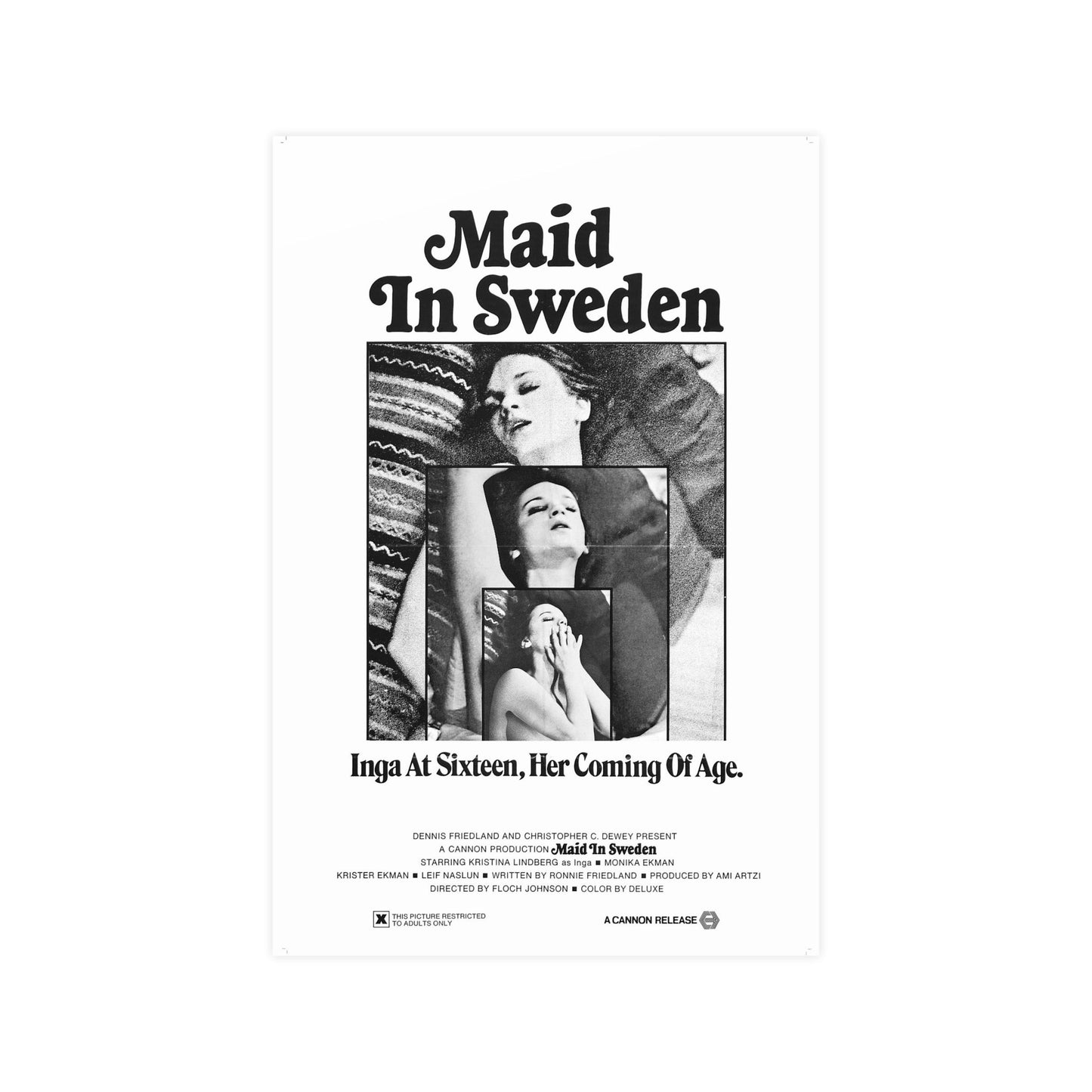 MAID IN SWEDEN 1971 - Paper Movie Poster-12″ x 18″ (Vertical)-The Sticker Space